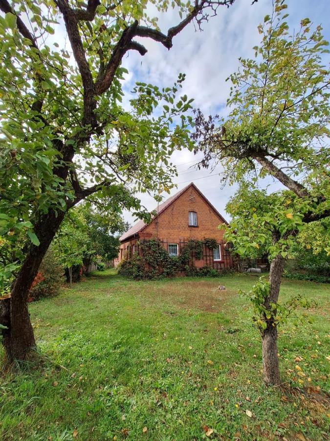 Domek Przy Maja Milicz Exterior photo
